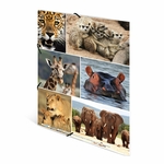 Fascikla plastificirana sa gumicom AFRICA ANIMALS, 240 x 320 x 15 mm Herma 