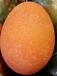 Kristali za jaja 4g 1/30 sortirano