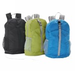 Ranac portabl 30x46x11 cm (spakovan 16x18x4 cm) Gabol zelena