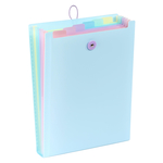 Expanding organizer sa 6 pregrada i gumicom USPRAVNI Rainbow Pastel Viquel sortirano