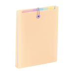 Expanding organizer sa 6 pregrada i gumicom USPRAVNI Rainbow Pastel Viquel sortirano