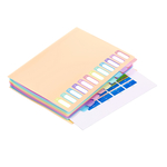 PVC Organiser sa 12 pregrada i gumicom Rainbow Pastel Viquel sortirano