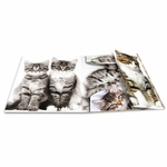 Fascikla PP sa gumicom CATS, 240 x 320 x 15 mm Herma 