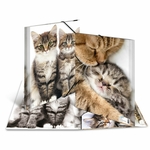 Fascikla PP sa gumicom CATS, 240 x 320 x 15 mm Herma