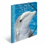 Fascikla PP sa gumicom DOLPHIN, 240 x 320 x 15 mm Herma