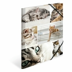 Fascikla plastificirana sa gumicom CATS, 240 x 320 x 15 mm Herma 