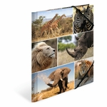 Fascikla plastificirana sa gumicom AFRICA ANIMALS, 240 x 320 x 15 mm Herma 