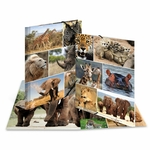 Fascikla plastificirana sa gumicom AFRICA ANIMALS, 240 x 320 x 15 mm Herma 