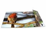 Fascikla plastificirana sa gumicom BIRDS, 240 x 320 x 15 mm Herma 