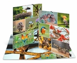 Fascikla plastificirana sa gumicom BIRDS, 240 x 320 x 15 mm Herma