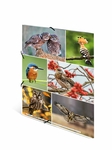 Fascikla plastificirana sa gumicom BIRDS, 240 x 320 x 15 mm Herma