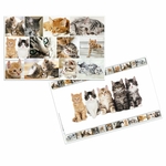 Podloga za sto 550x350 mm, CATS Herma