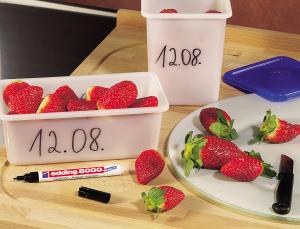 Marker za niske temperature E-8000 1mm, blister 