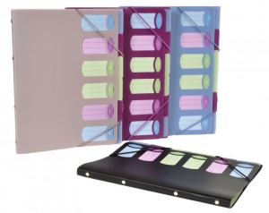 PVC Organiser sa 6 pregrada i gumicom Viquel sortirano
