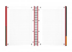 Sveska Oxford International Filingbook A4+ kvadratići 