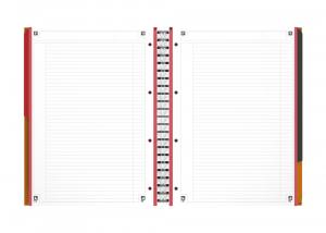 Sveska Oxford International Filingbook A4+ linije 