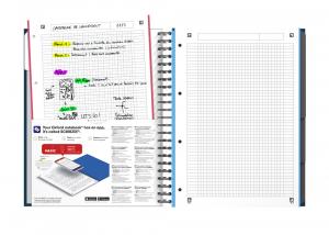 Sveska Oxford Office Essentials Europeanbook A4+ kvadratići, 4 Subject 