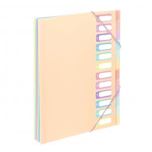 PVC Organiser sa 12 pregrada i gumicom Rainbow Pastel sortirano