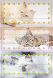 Stikeri VARIO SCHOOL CATS, GLITTERY 