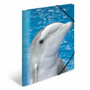 Fascikla PP sa gumicom DOLPHIN, 240 x 320 x 15 mm