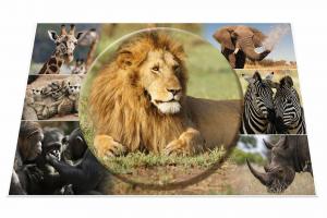 Podloga za sto 550x350 mm, AFRICA