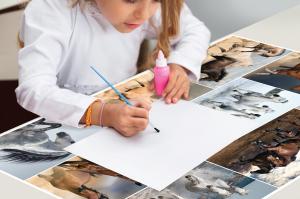 Podloga za sto 550x350 mm, HORSES 