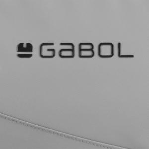 Neseser 23x13x10 cm  2,6l - 0,15 kg Canada siva