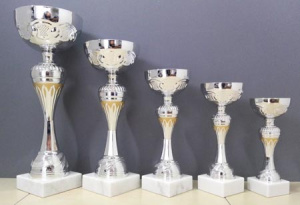 Pehar 6x13x20 cm  Ostalo srebrna
